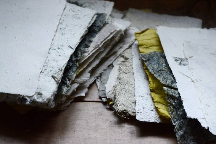 May Babcock, Papermaking with Plants